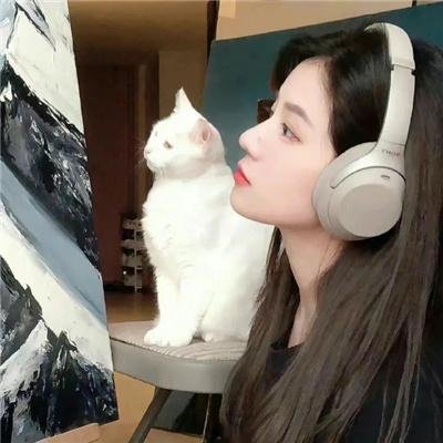 大侠梅花鹿